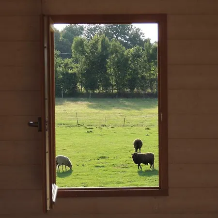 Holiday home Lodges Les Pieris *